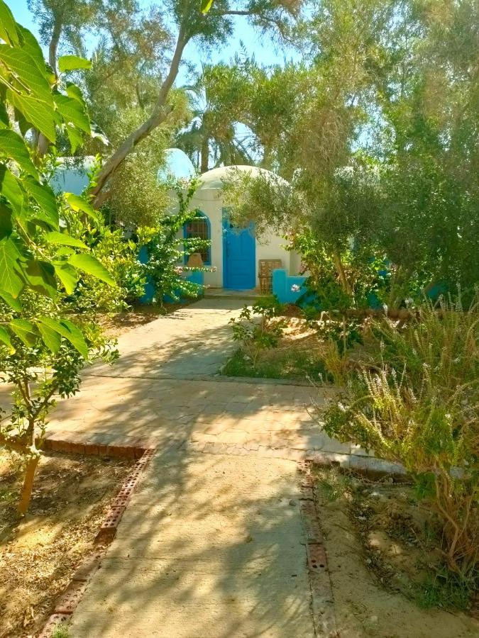 Panta Lodge Siwa Siwa Oasis 외부 사진